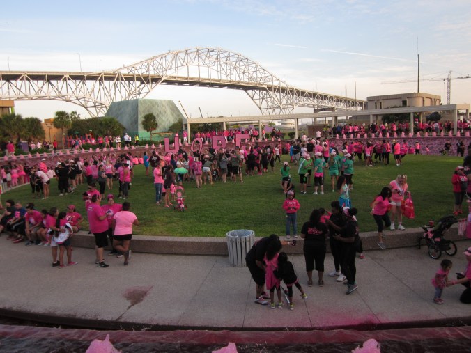 2015 10 17 Making Strides (13)