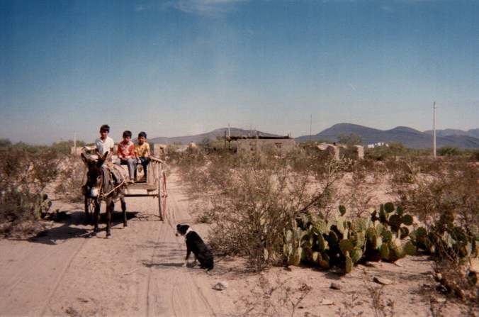 Boys coming into town