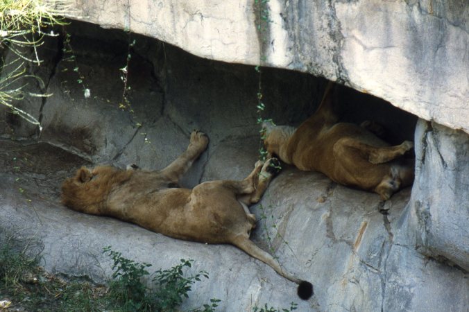 1987 06 New Orleans 019